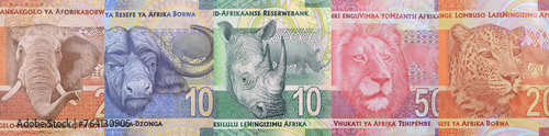 Rhino head closeup on South Africa banknote.