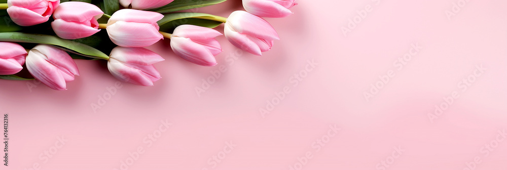 Pink and White Tulips