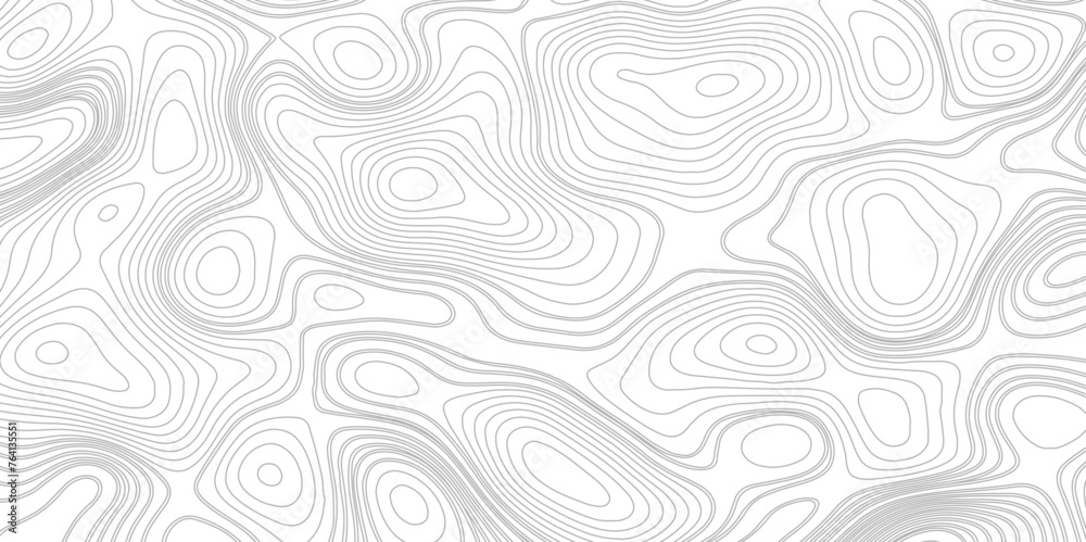 Topographic map background Grid map Contour Vector illustration. Top view topographic grey lines background