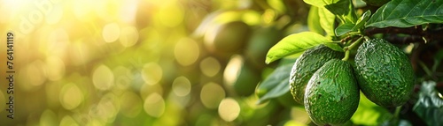 Growing carrot harvest and producing vegetables cultivation Concept of small eco green business organic farming gardening and healthy food , vibrant