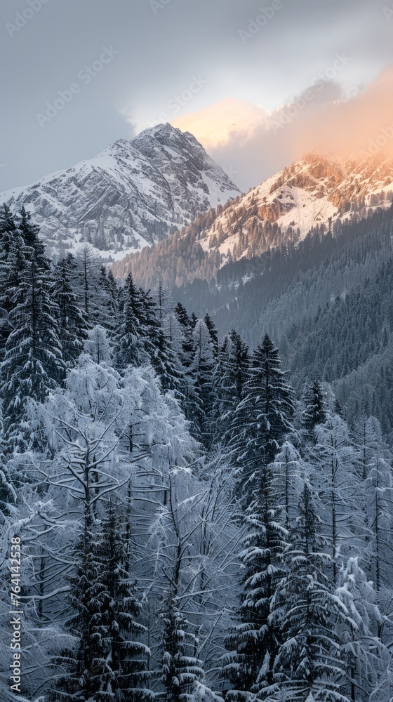 Sunset in the mountains, snow mountains