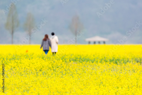 a canola-flowered view of the river photo