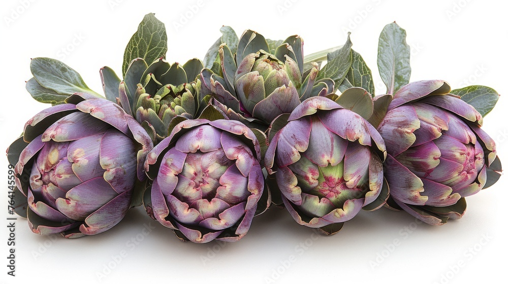 Fototapeta premium Delicately arranged artichokes, their green and purple hues striking against the white, showcasing the unique structure and texture of this thistle vegetable