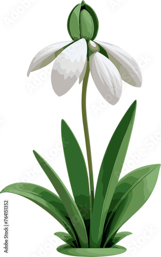 White snowdrop flower illustration isolated on transparent background, Birth Month Flowers, January, floral design element for card, spring decoration, summer, gardening, flower of hope, wildflowers