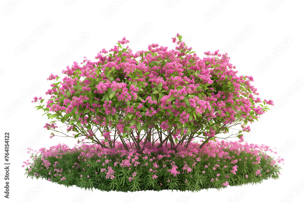 Fototapeta premium beautiful bush with pink flowers isolated on a transparent background