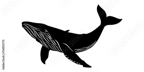 whale vector