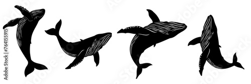 whale vector