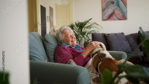 Elderly woman reading book, sitting in armchair, dog lying by her. Dog as companion for senior people. photo