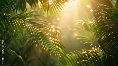 Sunlight peeking through palm leaves, offering a tranquil tropical morning
