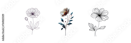 Set of Minimalist line art flower, illustration, isolated over on transparent white background