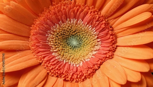 Close-up top the center of orange gerbera flower