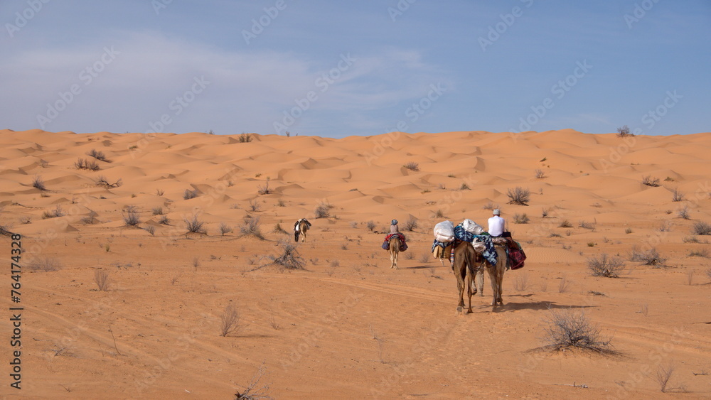 Dromedary camels (Camelus dromedarius) on a camel trek in the Sahara Desert, outside of Douz, Tunisia Dromedary camels (Camelus dromedarius) on a camel trek in the Sahara Desert, outside of Douz, Tunisia
