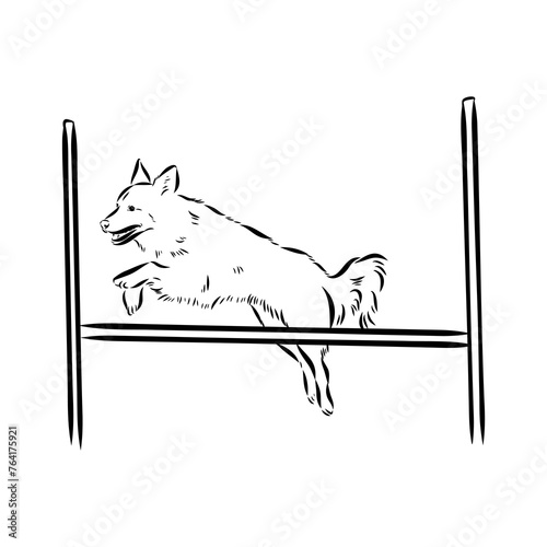 Scenes of dog training with cartoon characters of man and his pet learning various commands