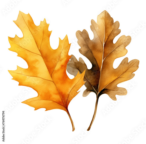 Watercolor oak leaves illustration isolated on white background.
