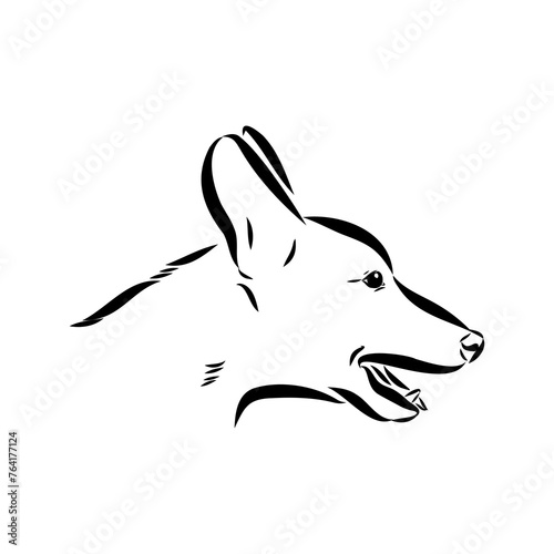 Scenes of dog training with cartoon characters of man and his pet learning various commands
