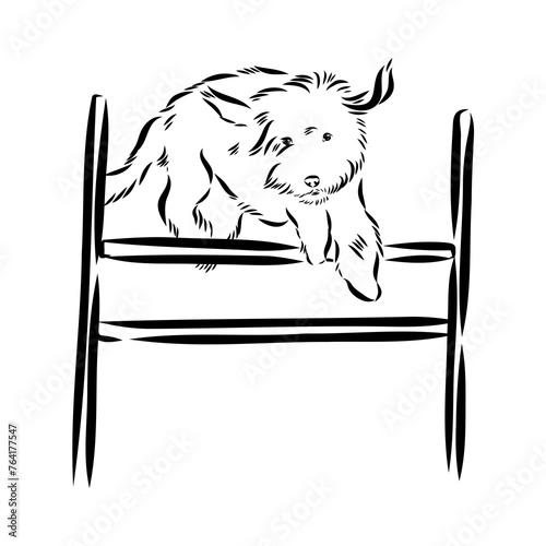Scenes of dog training with cartoon characters of man and his pet learning various commands