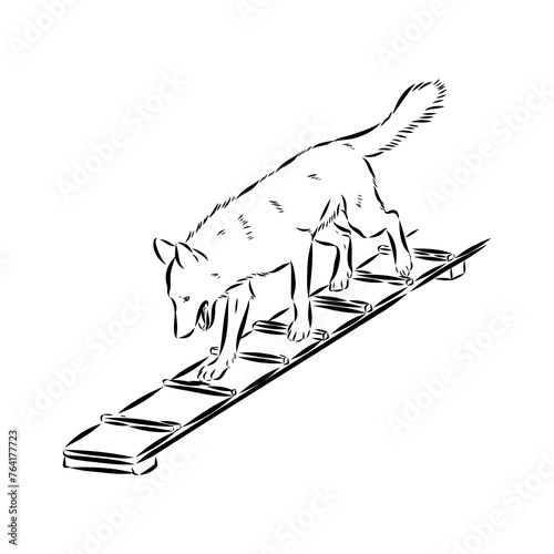 Scenes of dog training with cartoon characters of man and his pet learning various commands