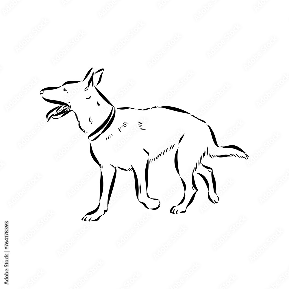 Scenes of dog training with cartoon characters of man and his pet learning various commands Scenes of dog training with cartoon characters of man and his pet learning various commands