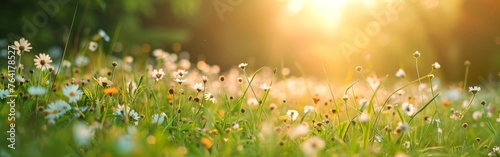 A vibrant field filled with lush green grass and colorful flowers under the warm glow of the sun in the background.