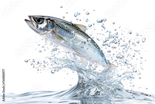Sardine fish jumping out of water isolated on white background