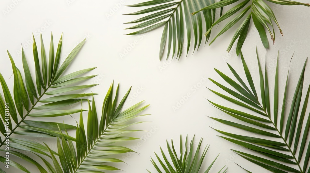 Top of white table with palm leaves