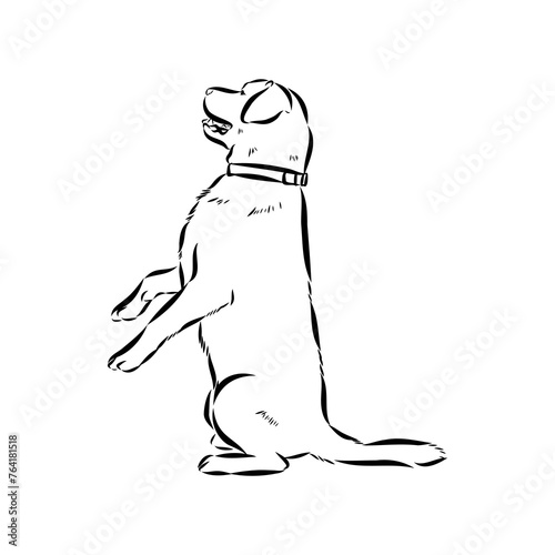 Scenes of dog training with cartoon characters of man and his pet learning various commands