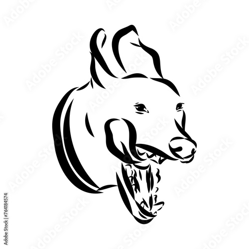 Scenes of dog training with cartoon characters of man and his pet learning various commands