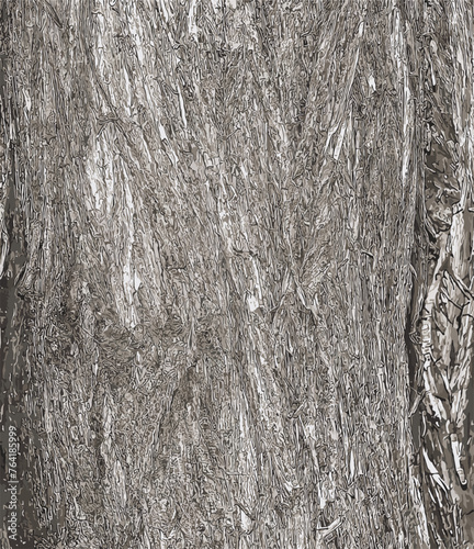 Vector illustration of the bark texture of Platycladus orientalis, also known as thuja sinensis, thuja orientalis or biota.
