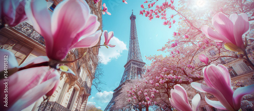 Paris in the spring	
 photo