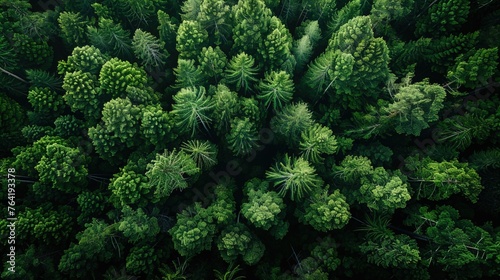 Sustainability net zero carbon negative forest nature Biodiversity Diversity  Generative AI 