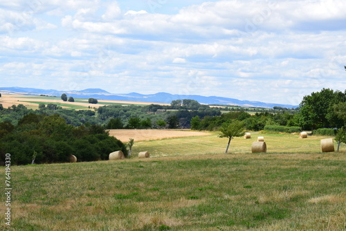 wide farmland in summer
