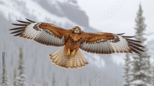  A bird of prey, captured closely in mid-air, surrounded by tree trunks and a majestic mountain
