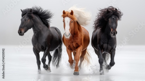  Three horses gallop through misty water, manes billowing