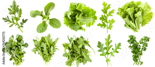 Various green salad leaves isolated on transparent background