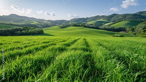 Green Field With Mountains