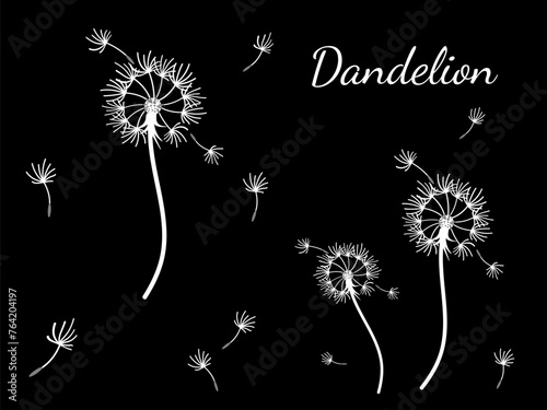 Dandelion_background7-48.eps