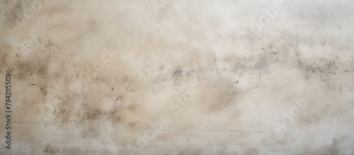 An arafed wall displays a surface covered in black and white mold, next to a black and white fire hydrant photo