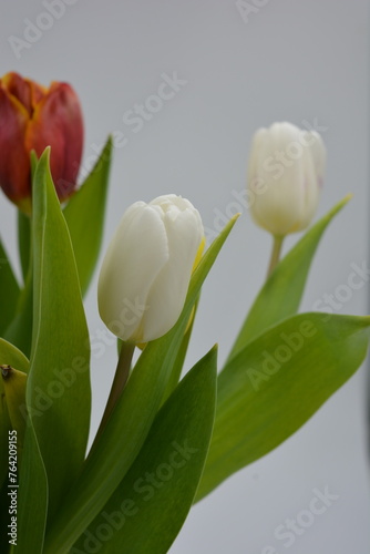 Festive bouquet of flowers, spring, bright flowers arranged in a glass glass. Composition of red, white, yellow tulips against the background of long, green leaves.