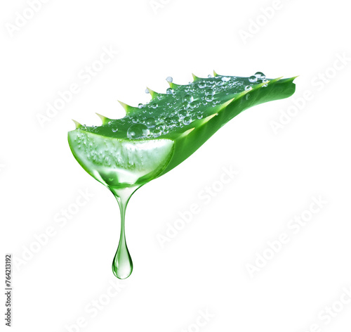 Drop of juice flowing from wet aloe vera stem isolated on white background