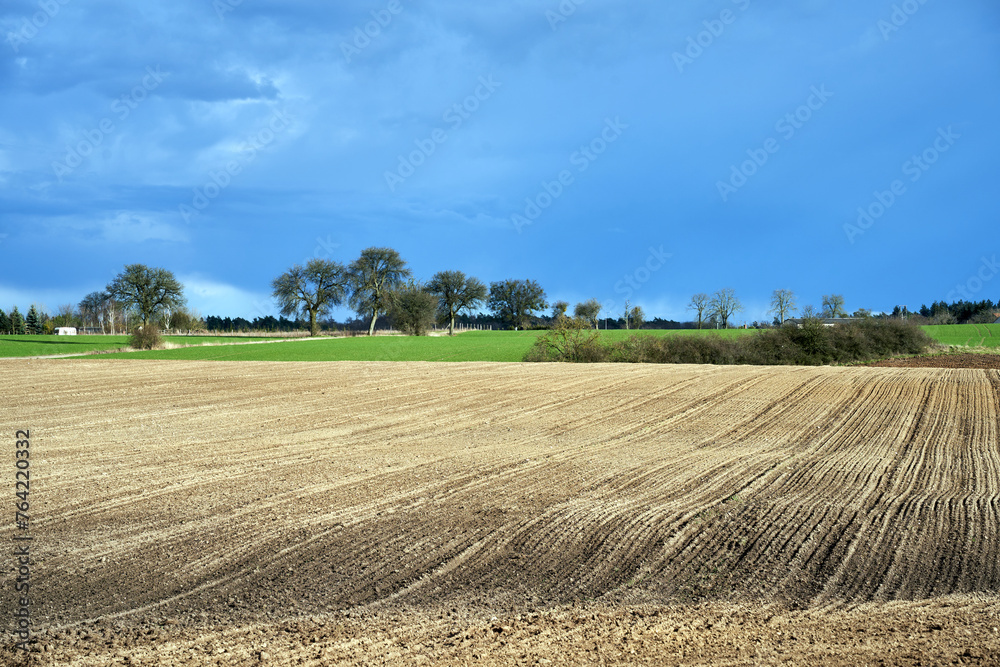 Rural landscape with plowed field and trees along the road in spring