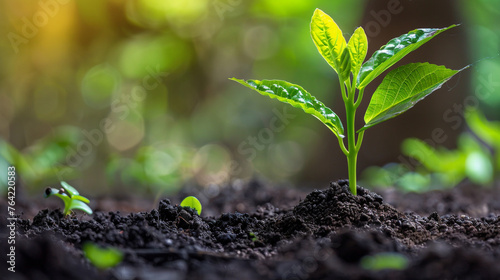A vibrant, green sapling emerging from the soil, symbolizing hope and renewal for Earth Day.