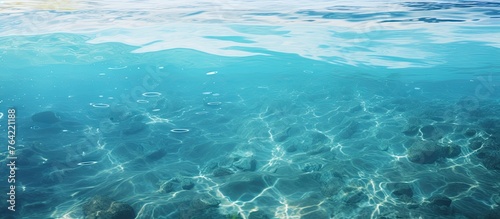 A close-up image showing a body of water with rocks visible under the surface © TheWaterMeloonProjec
