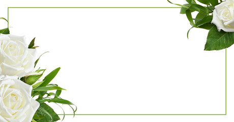 Floral corner arrangement with rose flowers and italian ruscus and green frame isolated on white or transparent background