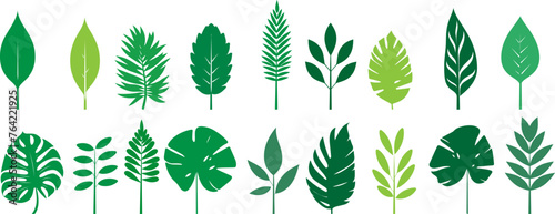 Set of tropical leaves.Collection of exotic palm leaves.Monstera leaf and banana leaves.Botanical plant collection.Leaf icon set.Jungle plant.	