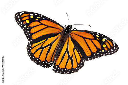 beautiful monarch butterfly, isolated on transparent background © Barra Fire