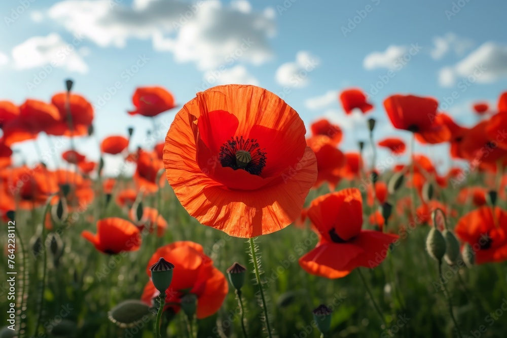 A stunning field filled with vibrant red flowers blooming under a clear blue sky, Field of red poppies with the phrase 'Lest We Forget' on Memorial Day, AI Generated