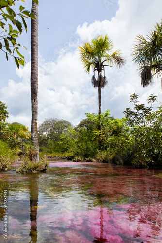 Rio de colores san jose del guaviare photo