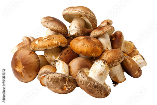 heap of mushrooms isolated on transparent background