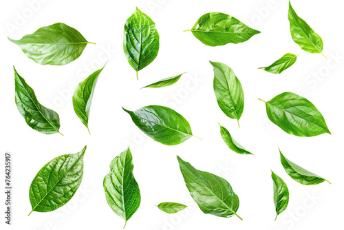 Set of flying green leaves isolated on transparent background