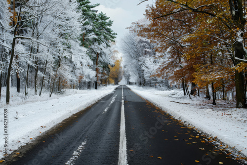 Beautiful winter road in the forest.
